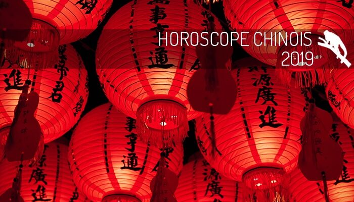 L'horoscope chinois 2019 du singe