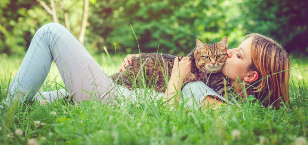 Est Il Vrai Que Les Chats Sentent La Mort Wemystic France