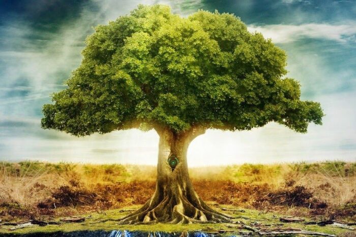 Découvrez votre futur grâce à la cartomancie en 2019