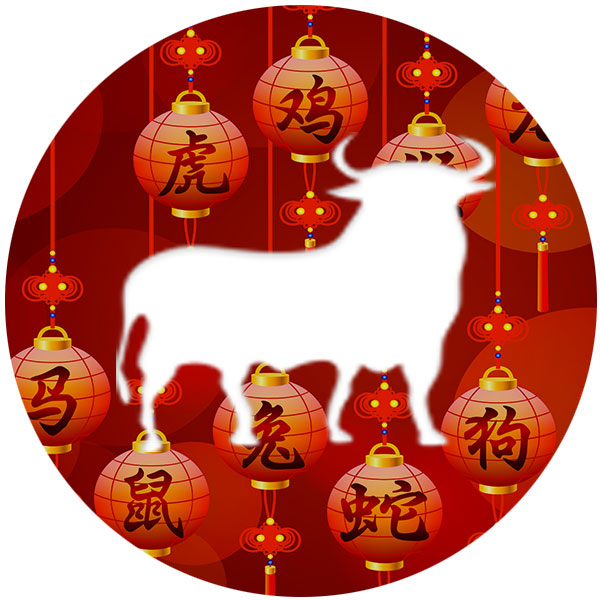 l'horoscope chinois pour 2020 : buffle