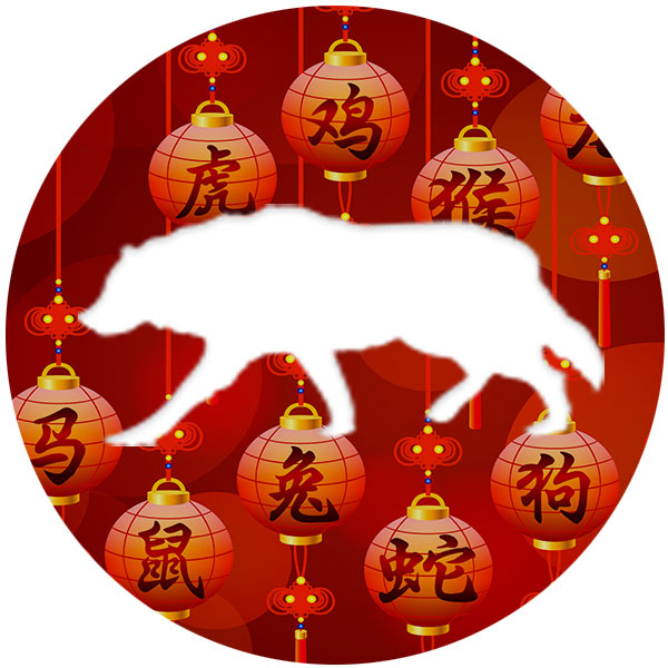 l'horoscope chinois pour 2020 : chien
