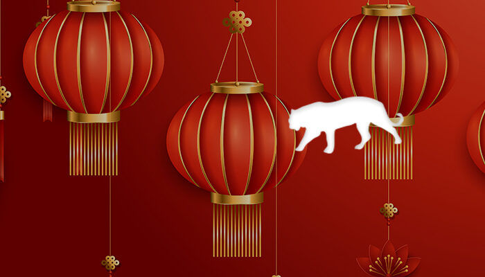 Horoscope chinois tigre 2021 - comment sera l’année des natifs de ce signe ?