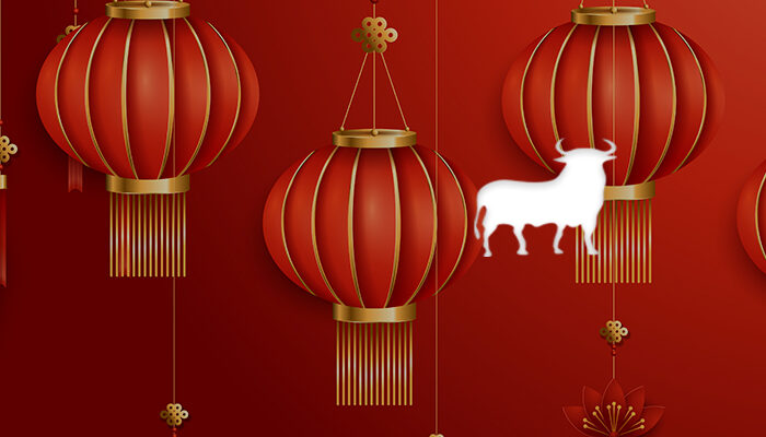 Horoscope chinois bœuf 2021 - comment sera l’années des natifs de ce signe ?