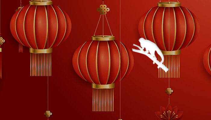 L'horoscope chinois 2020 pour le singe