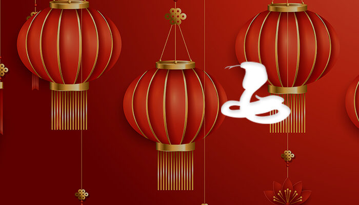 L'horoscope chinois 2020 pour le serpent