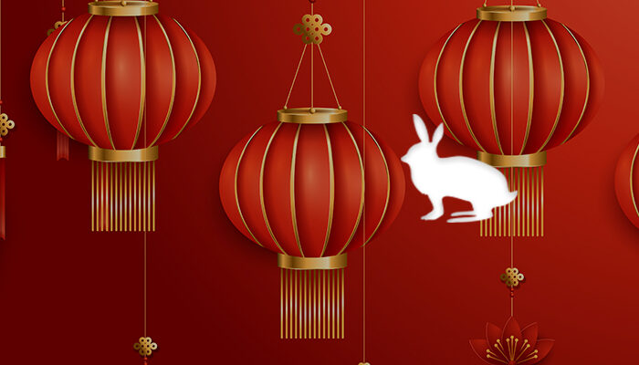 L'horoscope chinois 2020 pour le lapin