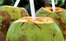 aliments-favoriser-beaute : eau de noix de coco