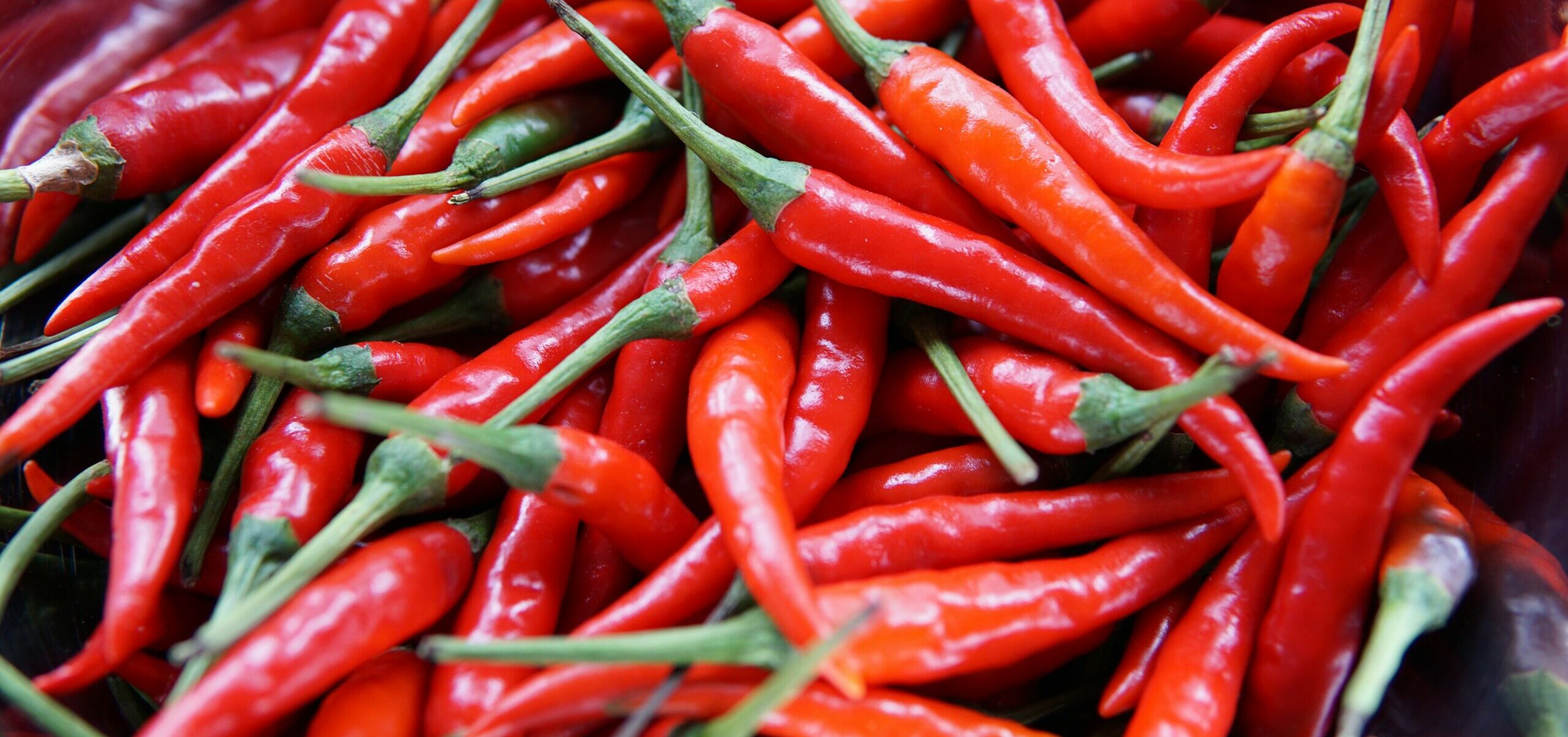 recettes pour augmenter la libido des femmes