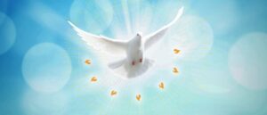 Feux de la Saint-Jean - saint-esprit