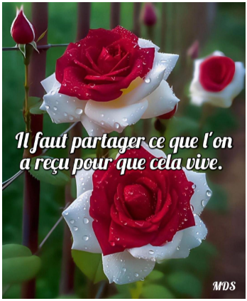 Demander l'impossible