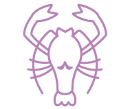 Cancer