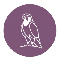 animal totem - faucon