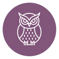 animal-totem-chouette